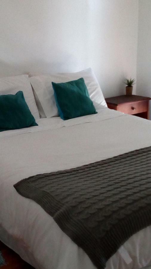 וינה דל מר B&B Hostel Casamoro מראה חיצוני תמונה